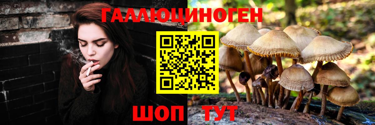 Псилоцибиновые грибы Psilocybe Назарово