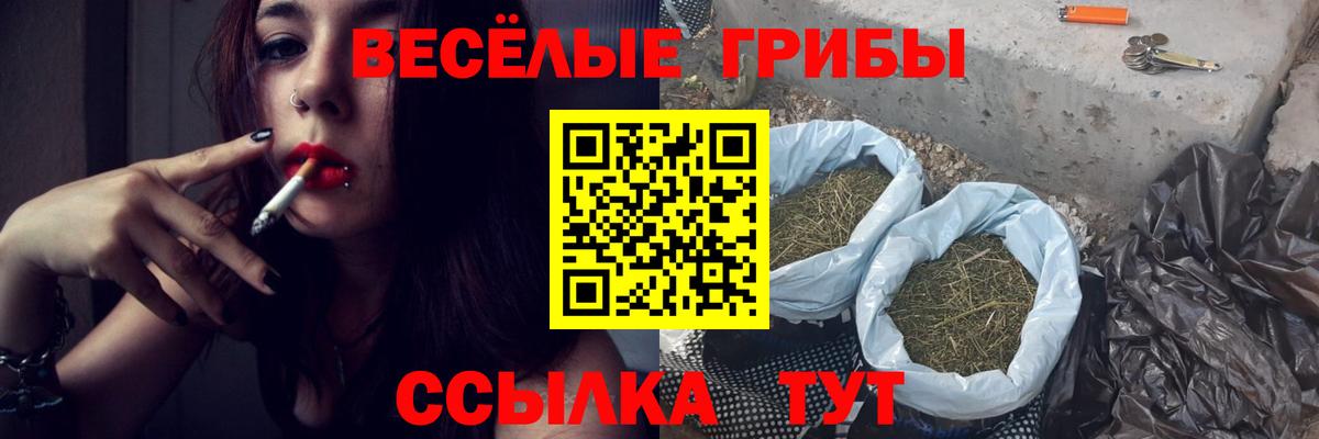 цена наркотик  Галлюциногенные грибы Psilocybine cubensis  Вход с VPN  Назарово 